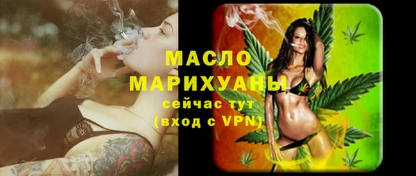 молекула духа Арсеньев