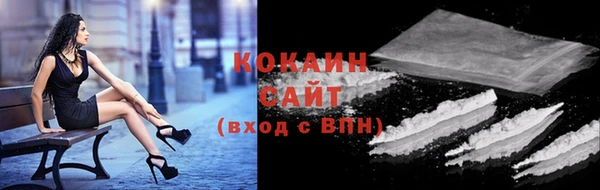 индика Армянск