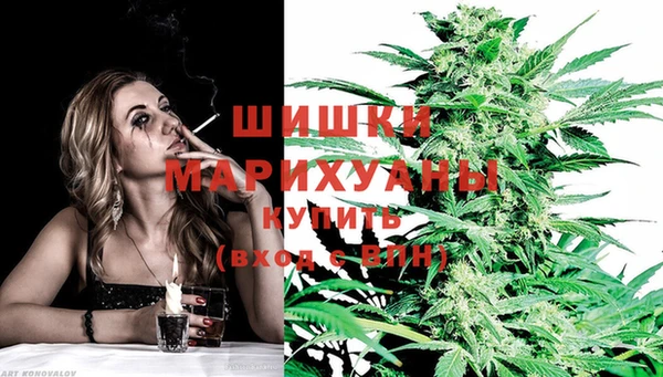 молекула духа Арсеньев