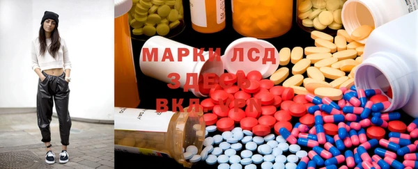 молекула духа Арсеньев