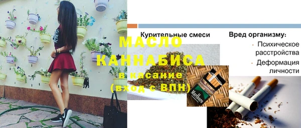 индика Армянск